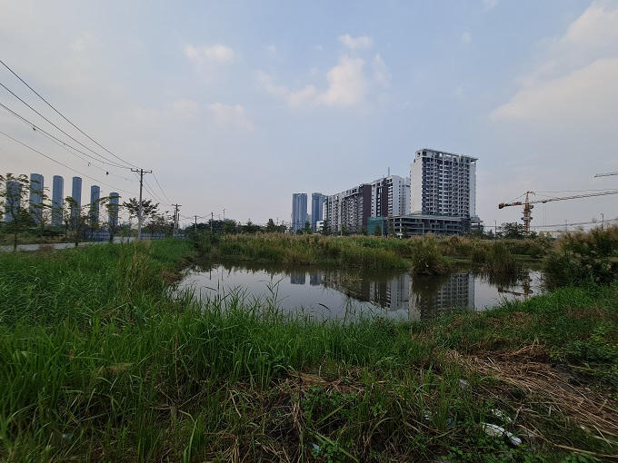 Công ty TNHH Đầu tư Bất động sản Ngôi Sao Việt trúng đấu giá lô đất số 3-12, diện tích 10.059,7m2 đã bỏ cọc. Ảnh: Tấn Lợi &nbsp;