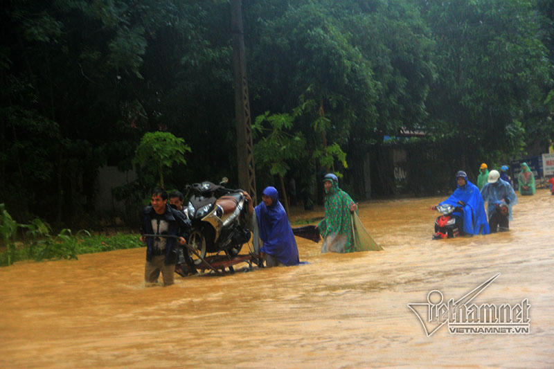 Trăm xe lặn ngụp giữa biển nước lũ Hòa Bình