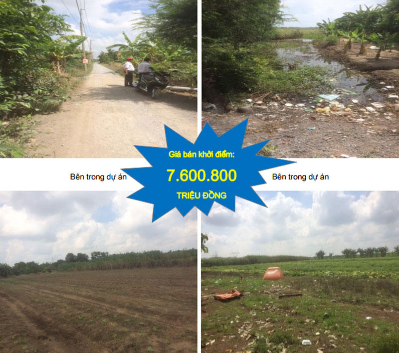 Trầm Bê vào tù, đại gia Dương Công Minh dọn dẹp tài sản ngàn tỷ