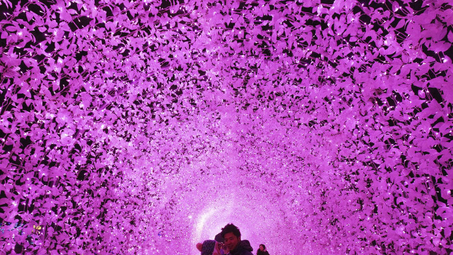 đảo Jeju thơ mộng -tinnhanhnhadat.vn