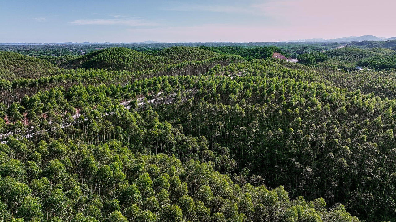 Sắp khánh thành cao tốc Sun Group đầu tư có hệ thống chiếu sáng hiện đại nhất Việt Nam