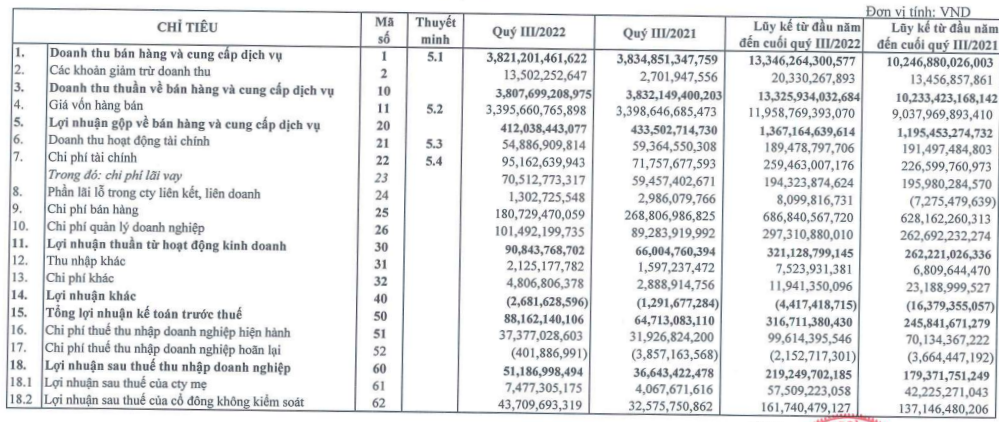 Báo cáo kết quả kinh doanh quý III của An Phát Holdings
