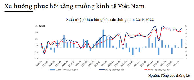 Bức tranh phục hồi kinh tế và tăng trưởng của Việt Nam