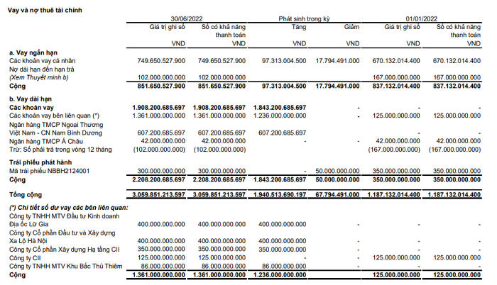 Chi tiết các khoản nợ tài chính của Năm Bảy Bảy tại thời điểm cuối quý II/2022. (Nguồn: BCTC bán niên đã soát xét của doanh nghiệp)