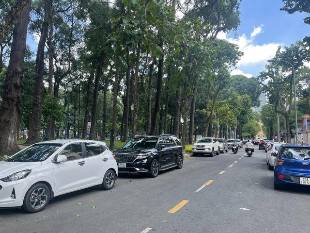 Con đường Hàn Thuyên với hàng cây 2 bên đường. Ảnh: Báo Lao Động &nbsp;