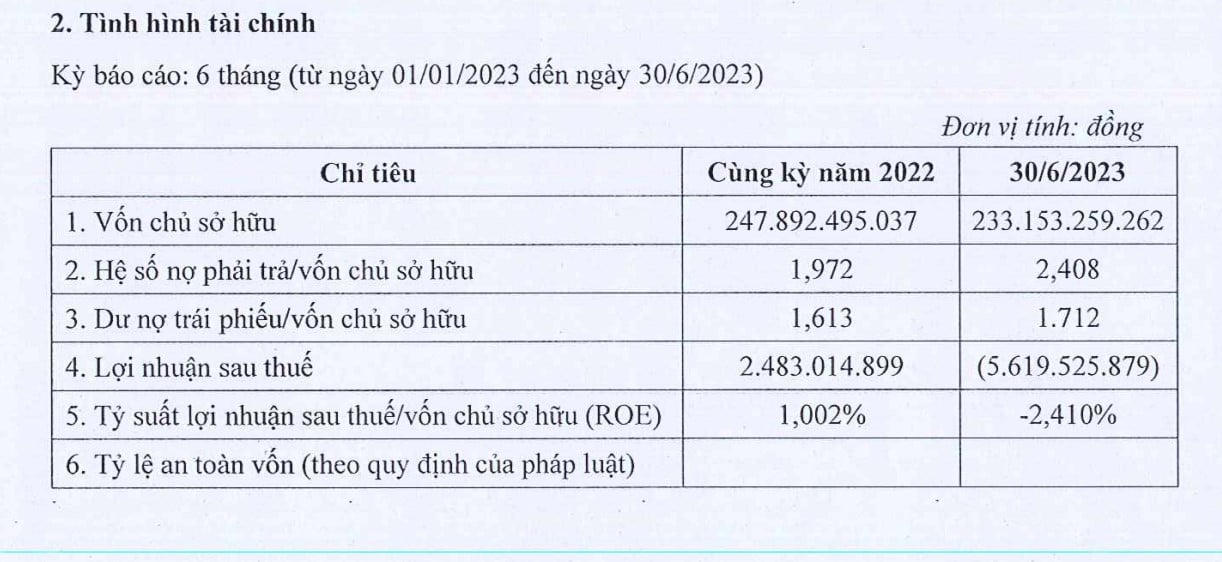Tình hình tài chính bán niên năm 2023 của Công ty TNHH Đầu tư Phúc Hậu.