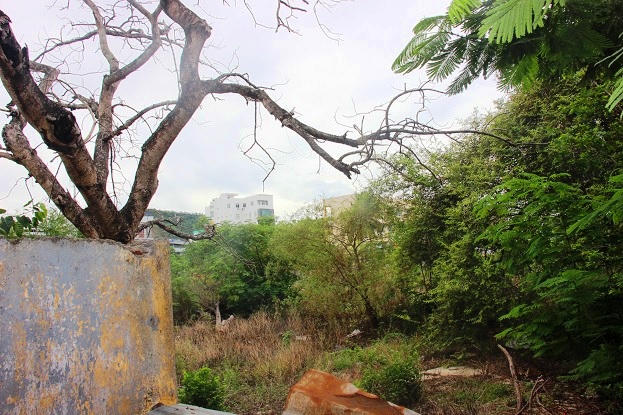 Vì sao “đất vàng” trị giá 200 triệu/m2 bị rào tôn, cây cỏ bủa vây? hình ảnh 3