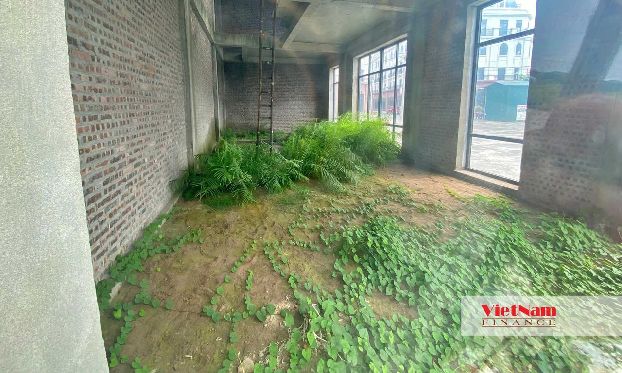Shophouse giá 200 triệu/m2: Nhà giàu mua hàng trăm căn rồi bỏ không