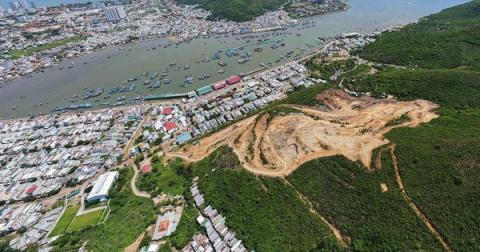 Sự thật bất ngờ vụ khu đô thị "xẻ" rừng phòng hộ