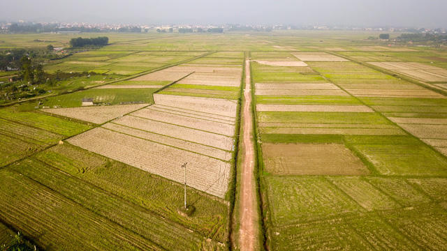 Toàn cảnh khu đất 100 ha dự kiến làm trường đua ngựa tại Hà Nội