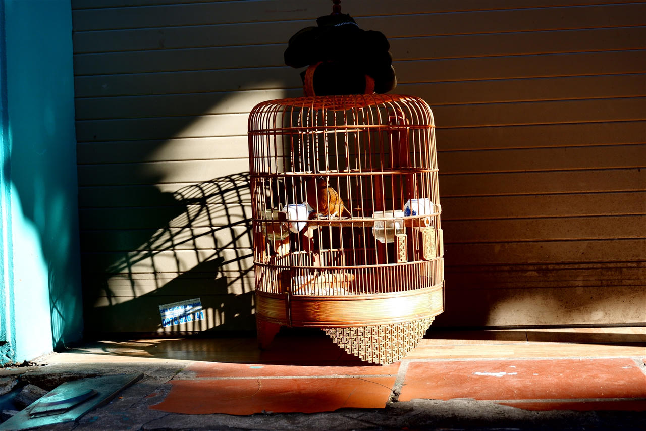 Hà Nội lung linh trong sắc Thu – Đẹp đến từng góc phố