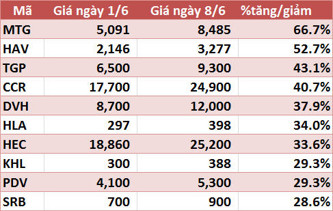 10 cổ phiếu tăng/giảm mạnh nhất tuần: Ấn tượng nhóm vật liệu và xây dựng