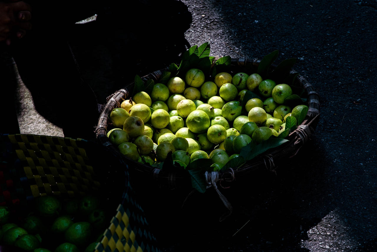 Hà Nội lung linh trong sắc Thu – Đẹp đến từng góc phố