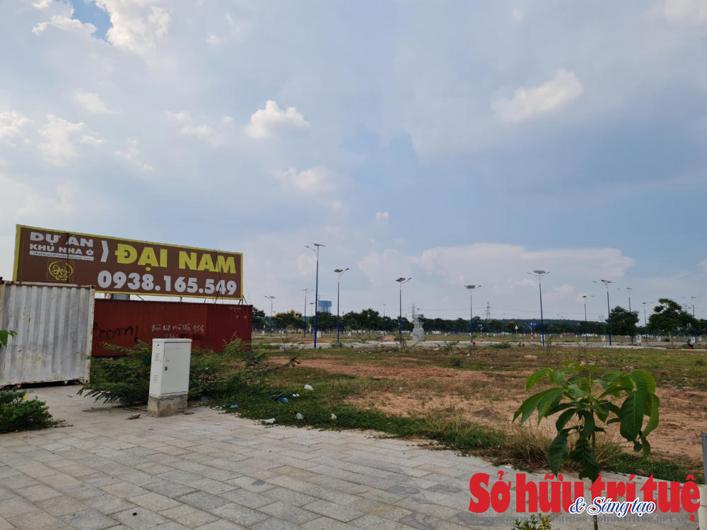 &nbsp;Dự án Khu nhà ở Đại Nam của Công ty Cổ phần Đại Nam nhiều năm nay vẫn nằm trên giấy. Dự án đã hoàn thiện đường sá, đường điện nhưng nhiều năm nay vẫn bất động, cỏ mọc um tùm.