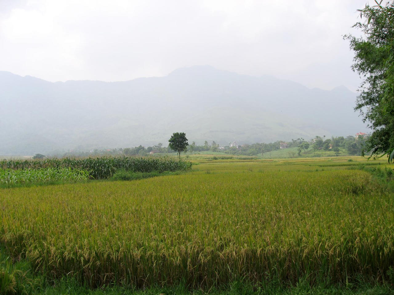 Ai sẽ tiếp quản 'siêu đô thị' Sudico – Tiến xuân sau khi thu hồi?