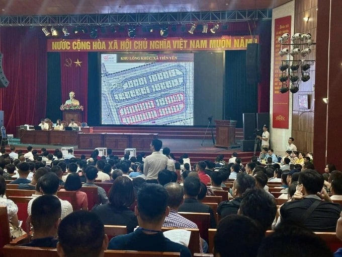 Bên trong phiên đấu giá sáng 19/8. Ảnh TL &nbsp;