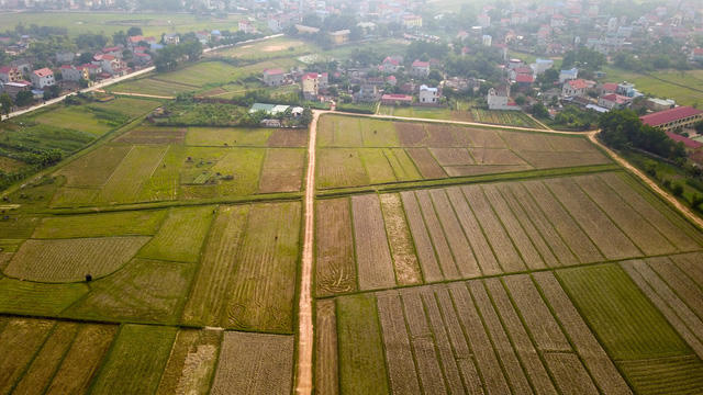 Toàn cảnh khu đất 100 ha dự kiến làm trường đua ngựa tại Hà Nội