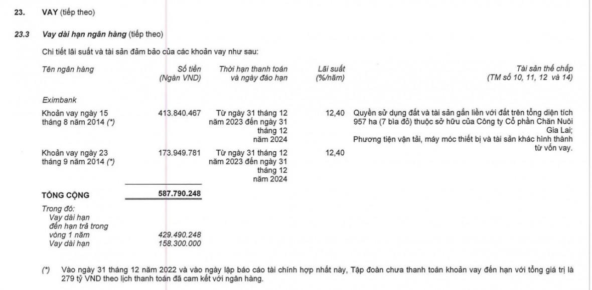 Khoản vay đã hết hạn nhưng chưa thanh toán với ngân hàng Eximbank. &nbsp;
