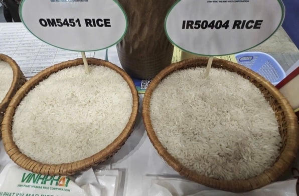 Doanh nghiệp xuất khẩu gạo, cà phê kiến nghị bỏ thuế VAT 5%.