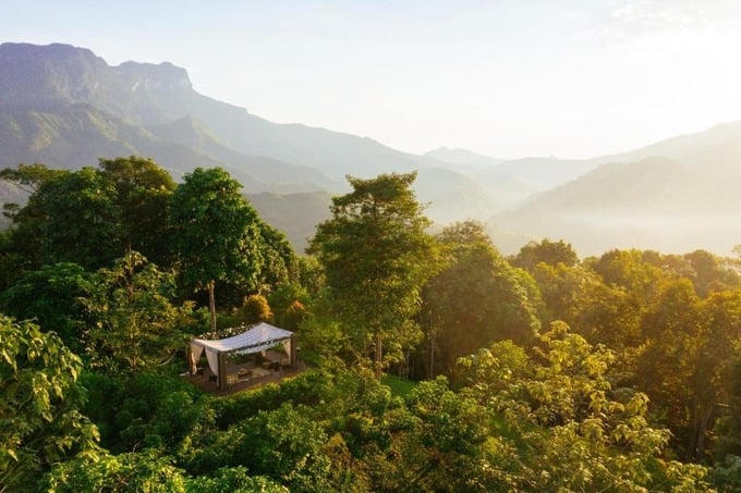 Một villa ẩn mình trong sương sớm