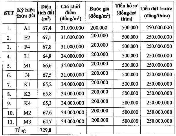 11 lô đất sắp được đấu giá. &nbsp;