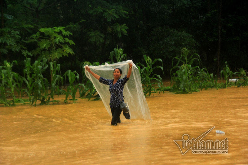 Trăm xe lặn ngụp giữa biển nước lũ Hòa Bình