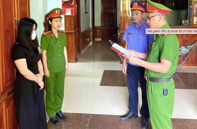 Nữ giám đốc tại Quảng Bình bị khởi tố vì trốn thuế (Ảnh: Công an Quảng Bình).