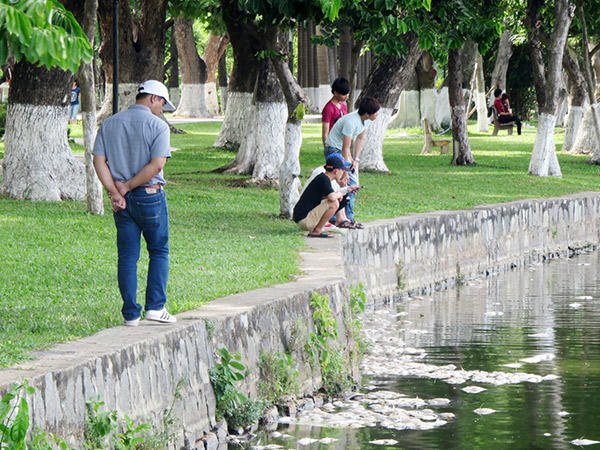Đà Nẵng duyệt gần 1.100 tỷ đồng đầu tư công viên, trung tâm hành chính