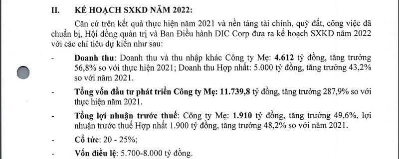 Nguồn: Tài liệu họp ĐHĐCĐ năm 2022 của DIC Corp. &nbsp;