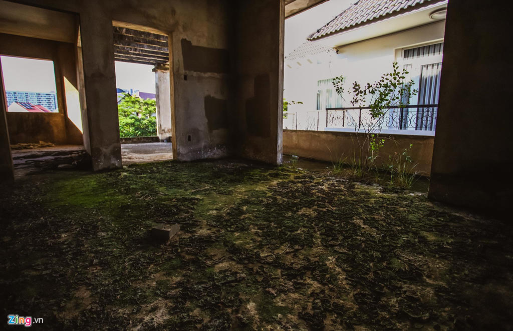 Loạt biệt thự tiền tỷ bỏ hoang cả 10 năm cạnh cao tốc ở quận 9