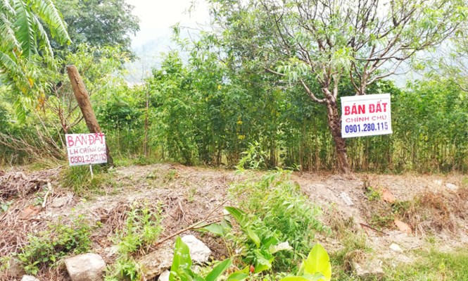 Vân Đồn 'quay cuồng' trong cơn sốt đất