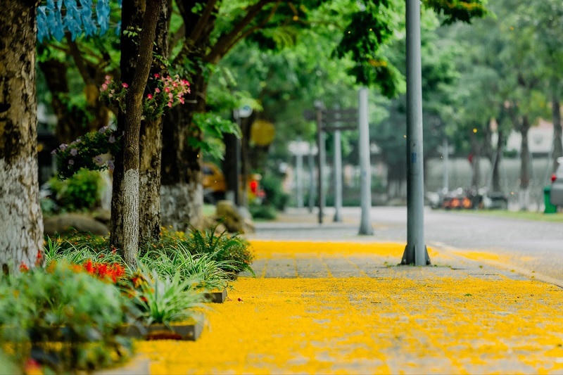 Ecopark Marathon 2021 - Ngắm cung đường chạy giữa thiên nhiên “siêu chất” trước giờ G 