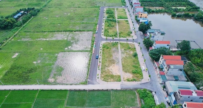 Đất nền đang có những tín hiệu hồi phục tích cực. Ảnh minh họa&nbsp;