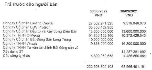 Cơ cấu trả trước cho người bán (Nguồn: BCTC)