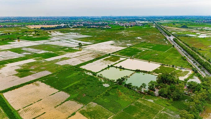 Khu đô thị Mỹ Hưng vẫn còn là đồng ruộng, chưa động thái thi công. Ảnh: Ngọc Đẹp