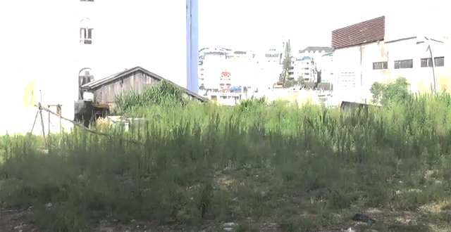 Giá đất Đà Lạt bị cò 'hét giá' lên 1 tỷ đồng/m2