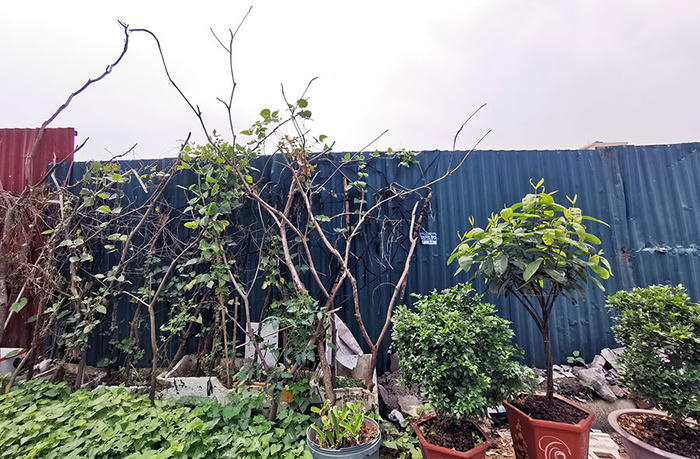 Dự án khách sạn, nhà ở của Công ty thực phẩm xuất khẩu Hưng Yên 'bất động' hơn thập kỷ