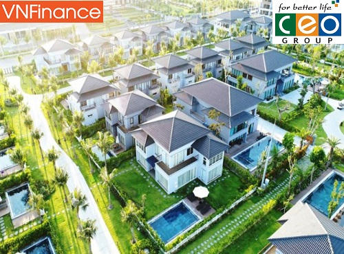 Cổ phiếu CEO thời... sa cơ!