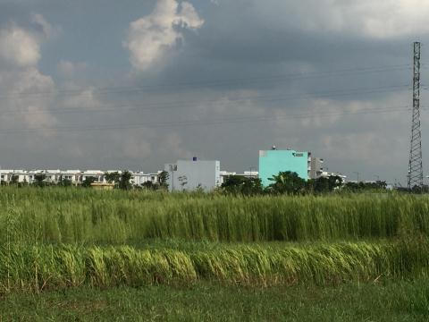 Đã 14 năm trôi qua nhưng phần lớn dự án Khu dân cư Nam Sài Gòn vẫn là bãi cỏ