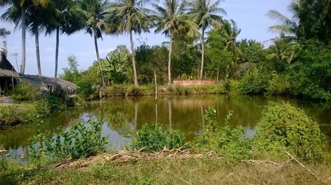 Ảnh minh hoạ đất ở có ao hồ &nbsp;