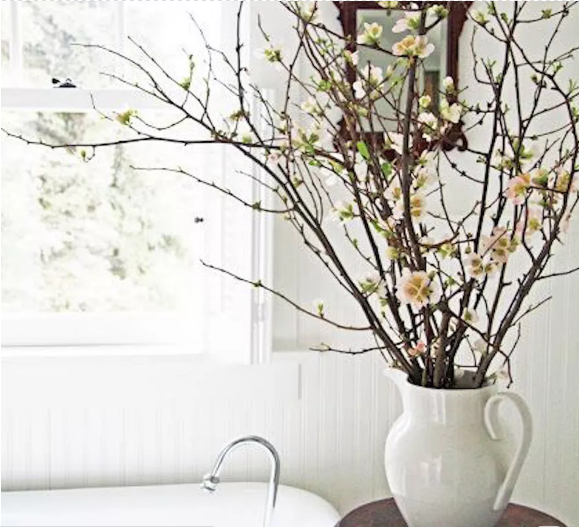 Hóa giải phong thủy cho phòng tắm nhỏ