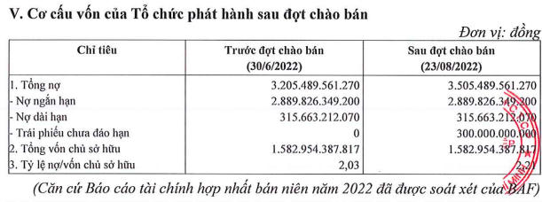 Tổng nợ của công ty sau khi hoàn tất trái phiếu doanh nghiệp (Nguồn: BAF)