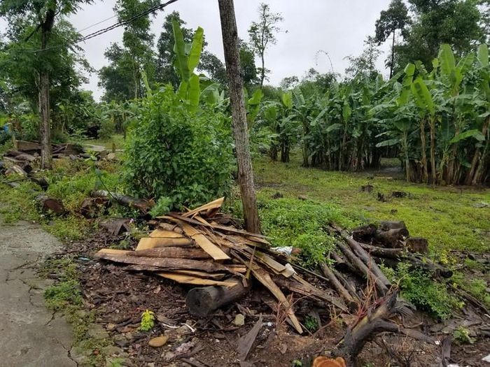 Khu vực 3 lô đất xen ghép tại Tổ dân phố Giáp Thượng 1, phường Hương Văn, TX Hương Trà. &nbsp;