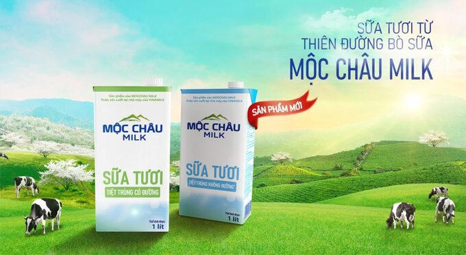 Trong quý 1/2022, công ty ghi nhận doanh thu đạt 674,7 tỷ đồng, lợi nhuận sau thuế đạt 85,69 tỷ đồng, lần lượt tăng 8,6% và 73,1% so với cùng kỳ năm trước &nbsp;