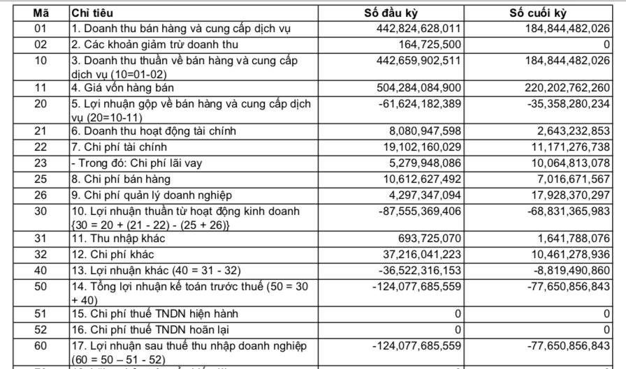 Kết quả kinh doanh của CTCP Găng Việt trong năm 2023 &nbsp;