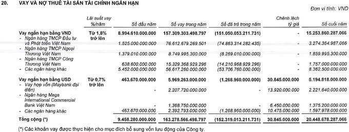VnDirect: Từ deal với Trung Nam đến con số 200 nghìn tỷ đồng giao dịch trái phiếu một năm
