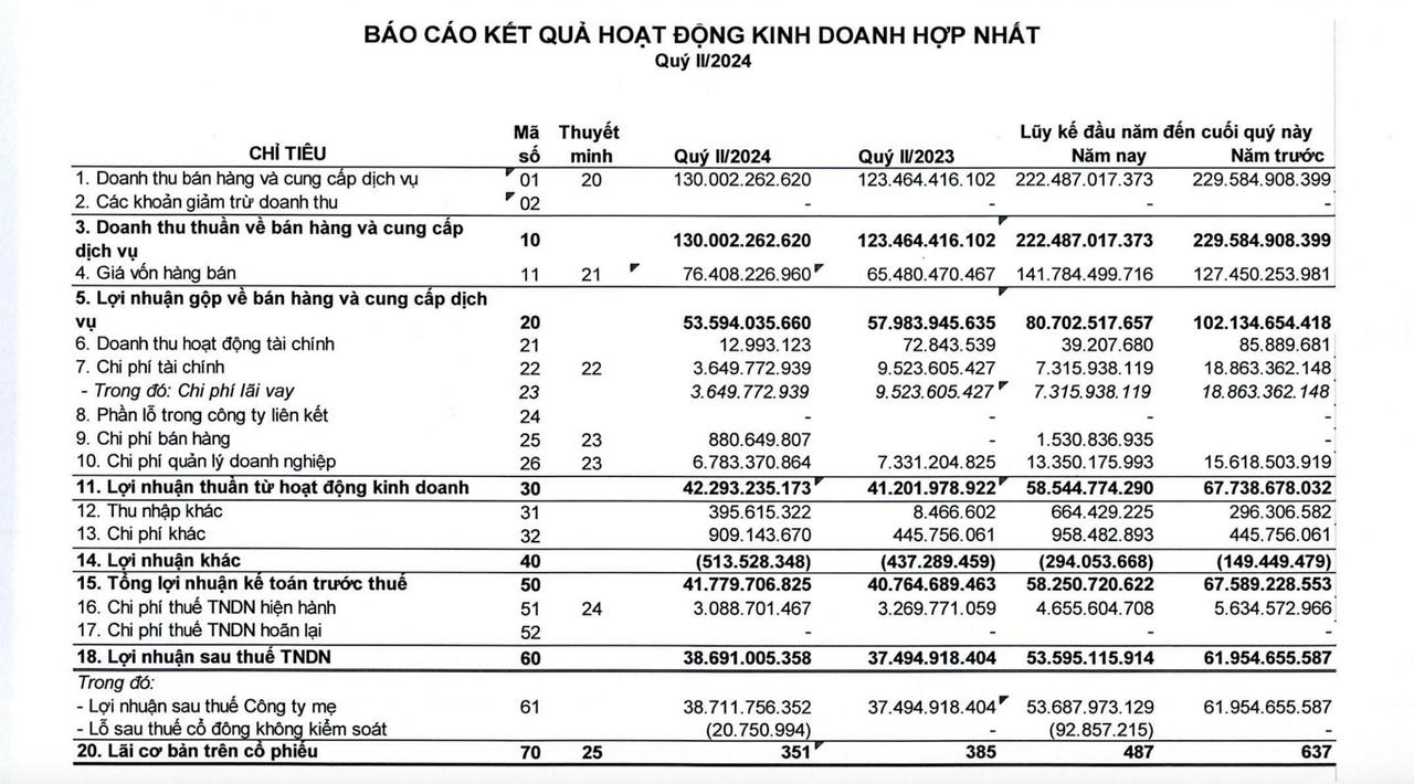 Báo cáo tài chính quý II/2024 &nbsp;