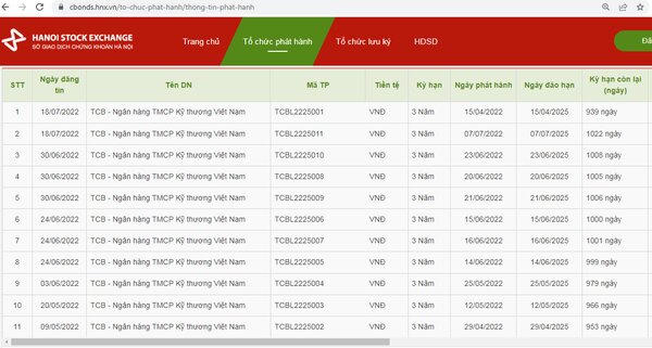 Techcombank đã phát hành gần 12.000 tỷ đồng trái phiếu sau thanh tra 