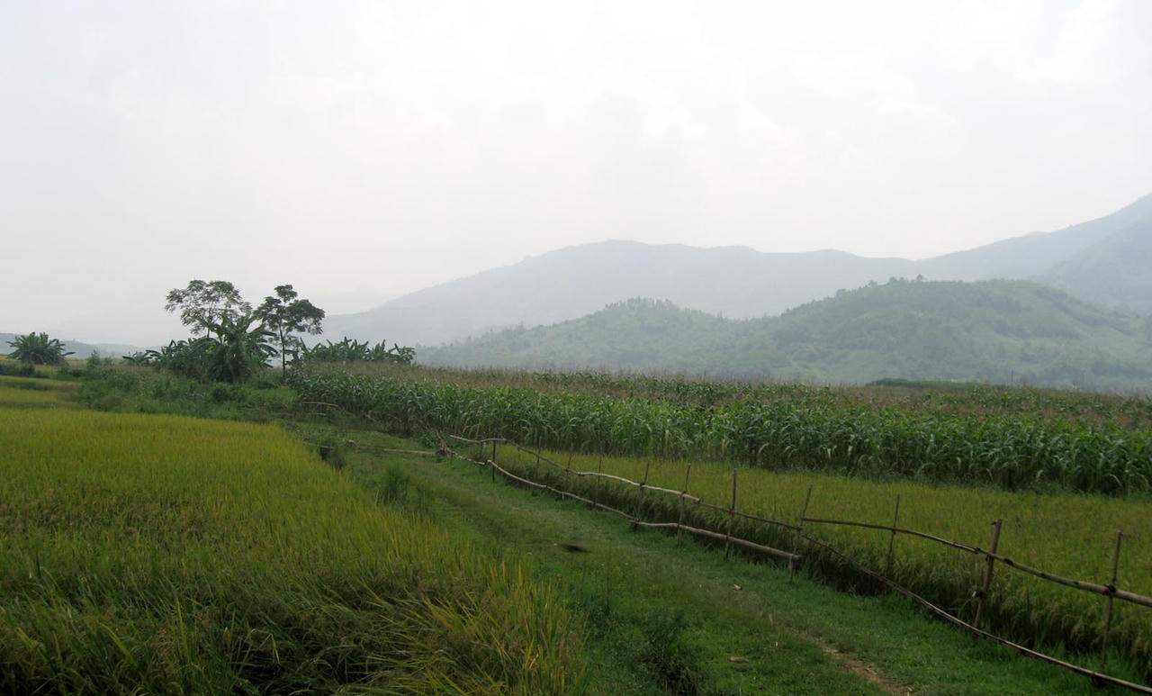 Ai sẽ tiếp quản 'siêu đô thị' Sudico – Tiến xuân sau khi thu hồi?