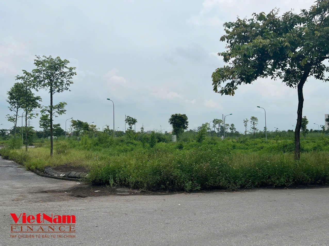 Theo quy hoạch, các sản phẩm xây dựng tại dự án gồm nhà chia lô diện tích 60 - 80m2, khu biệt thự (biệt thự đơn lập 300 m2, biệt thự song lập 200 - 300m2). Tuy nhiên, đến nay vẫn là cỏ hoang.